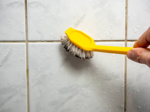 Reliable Rosharon, TX Mold Removal Solutions