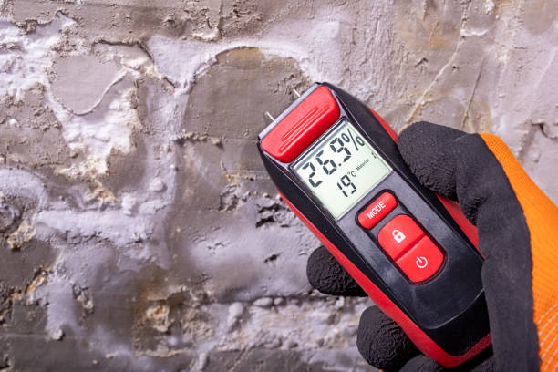 Crawl Space Mold Removal in Rosharon, TX