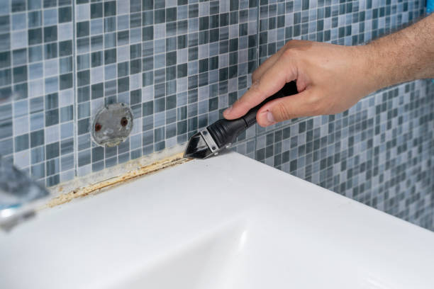 Best Commercial Mold Removal  in Rosharon, TX