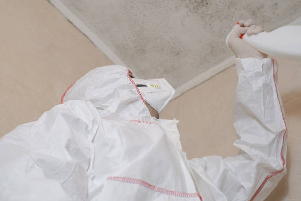  Rosharon, TX Mold Removal Pros